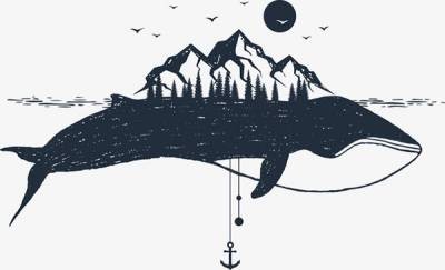 手绘鲸鱼图案插画