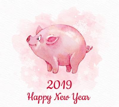 2019水彩猪手绘插画设计