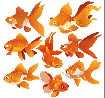 卡通橙色金鱼设计矢量素材