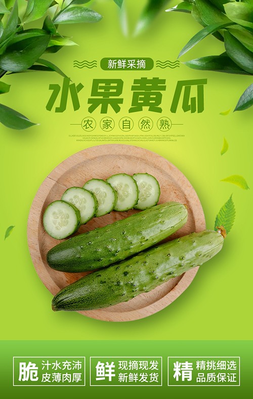 绿色时尚清新水果黄瓜蔬菜详情页
