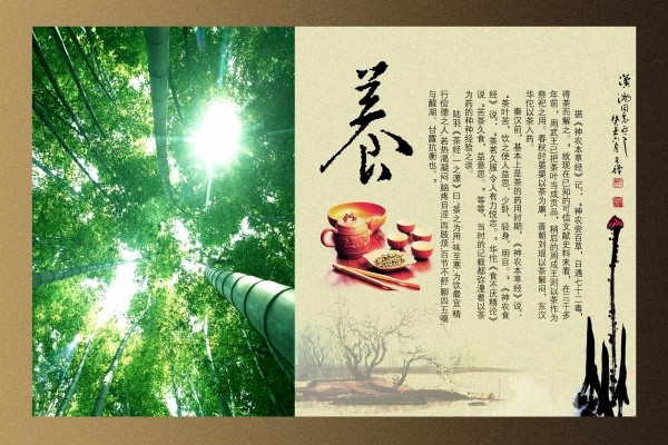 典雅风茶文化主题画册设计