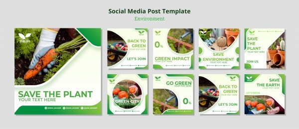 綠色蔬果植物環保主題畫冊設計