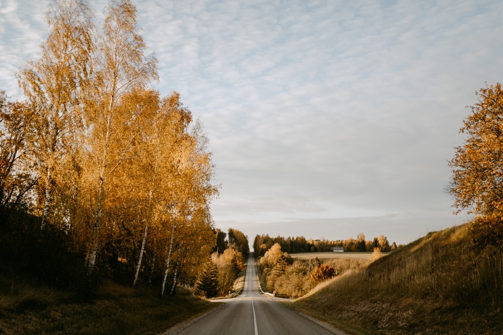 秋天的公路美景图片