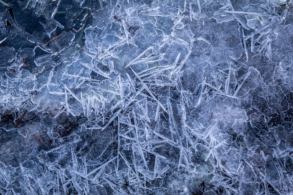 草地冰霜图片