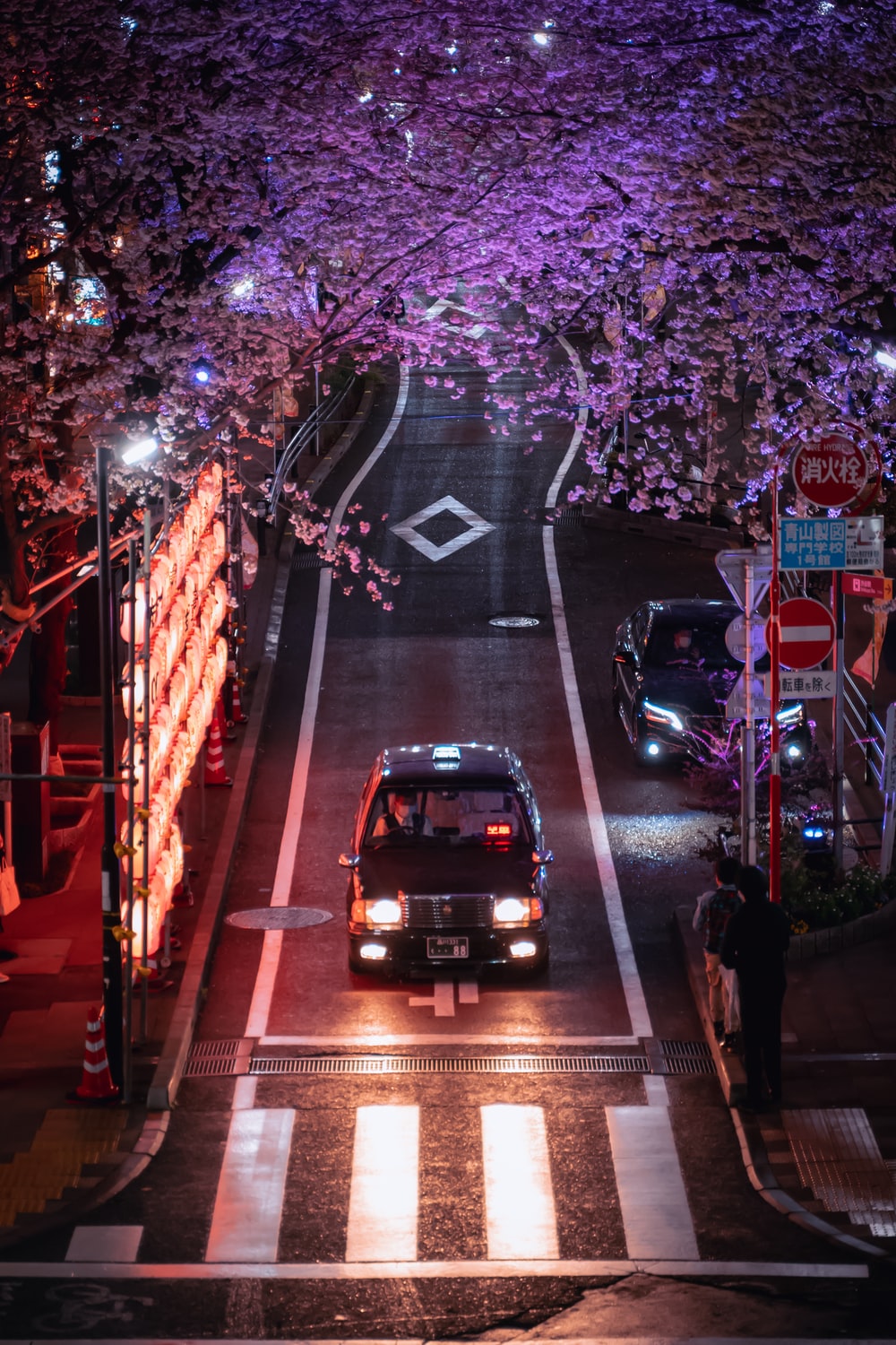 东京樱花带着白色口罩的男人图片