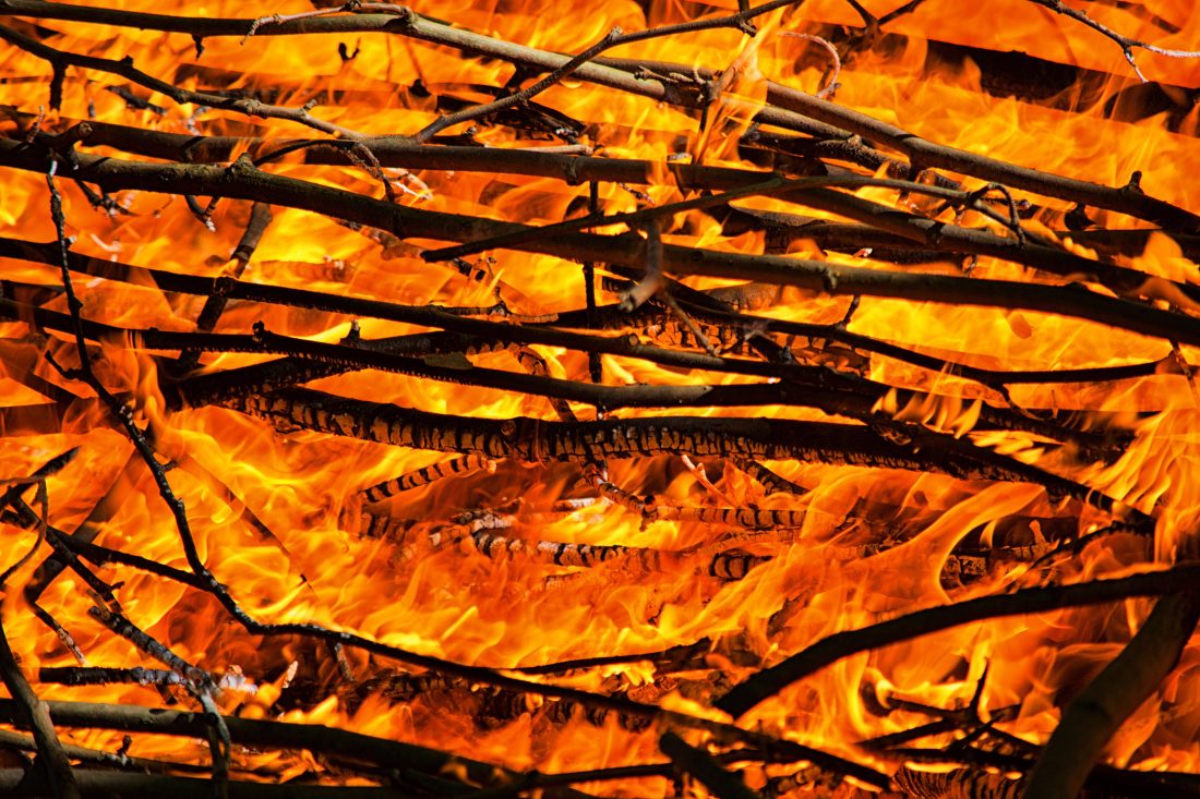 木材燃烧图片