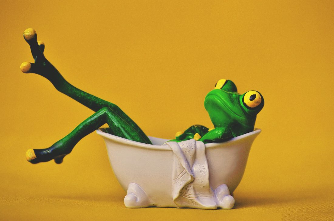 青蛙在浴缸图片
