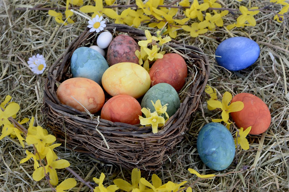 草地上的复活节彩蛋的图片