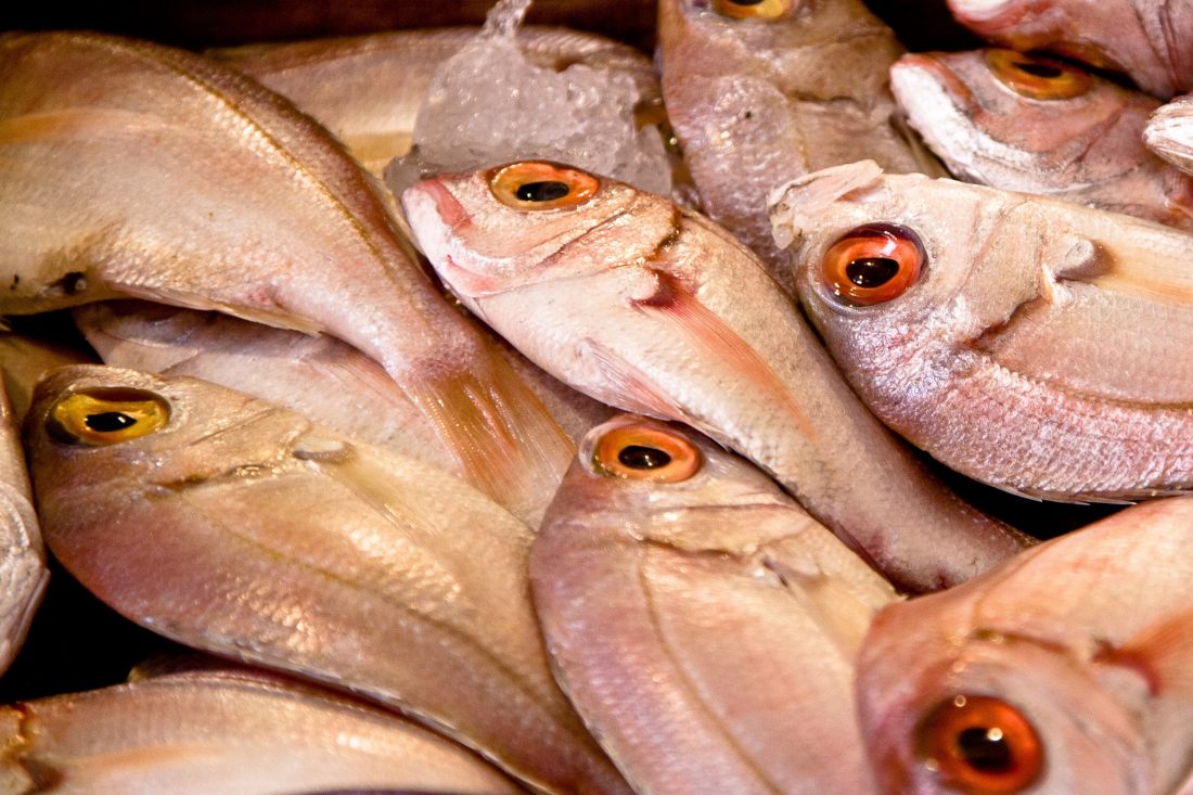菜市场生鱼图片