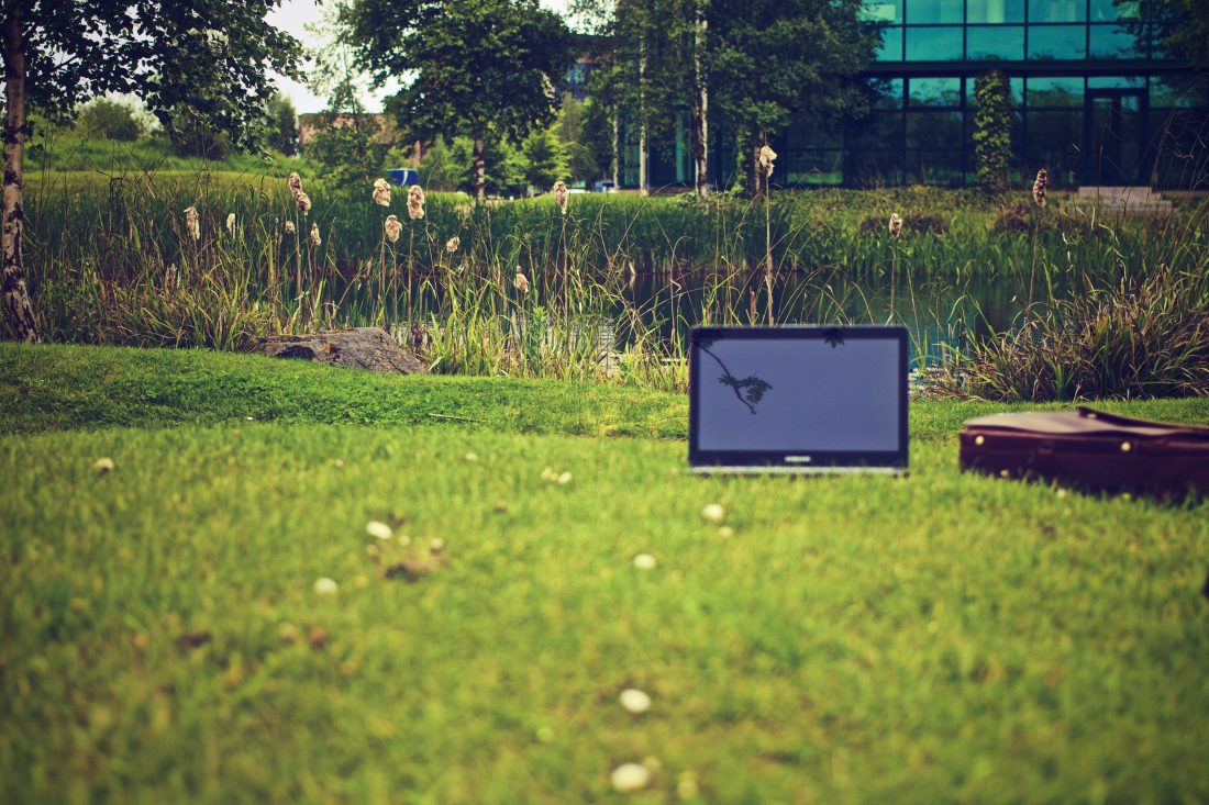 草地上的笔记本电脑图片