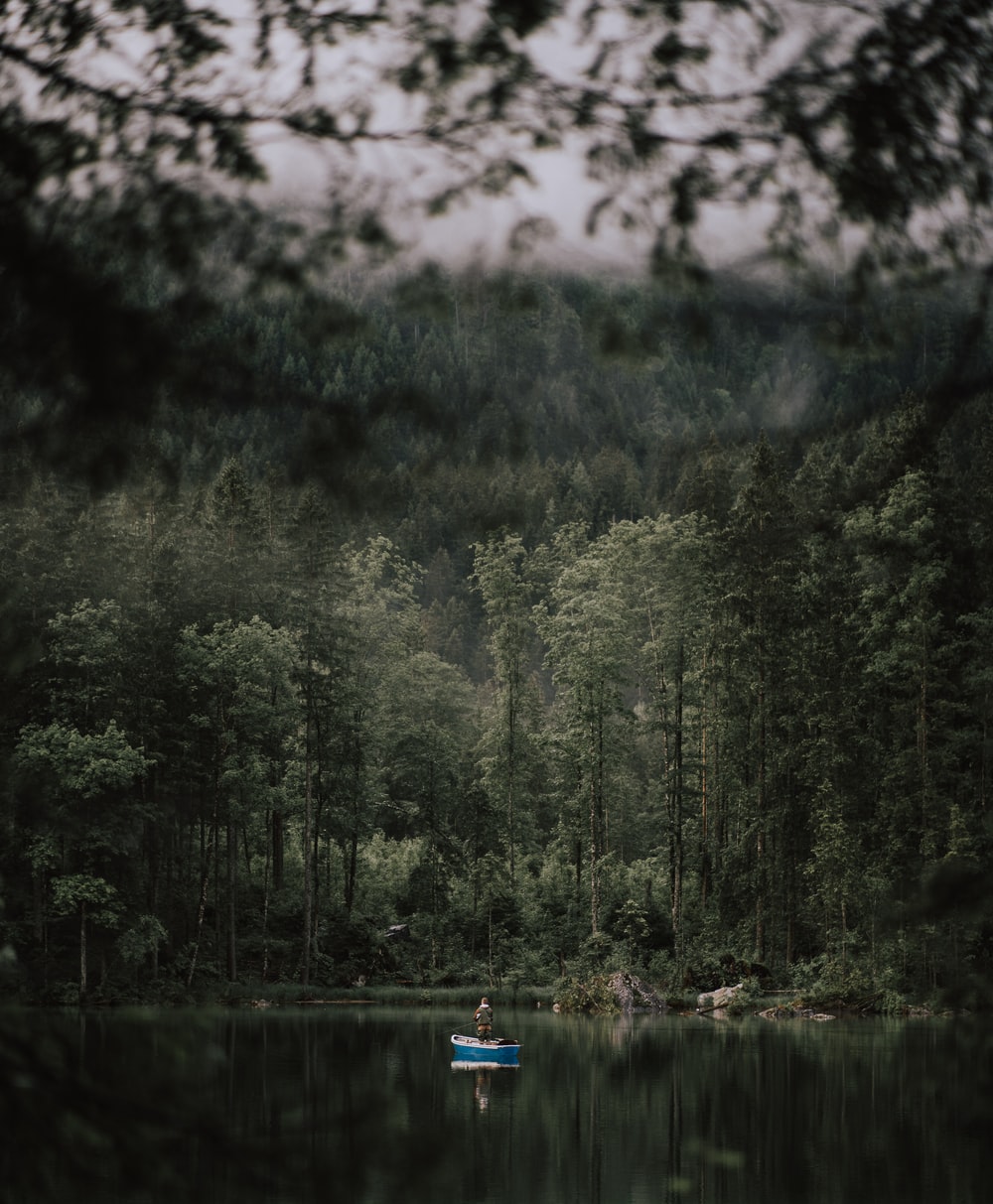 森林湖里划船图片