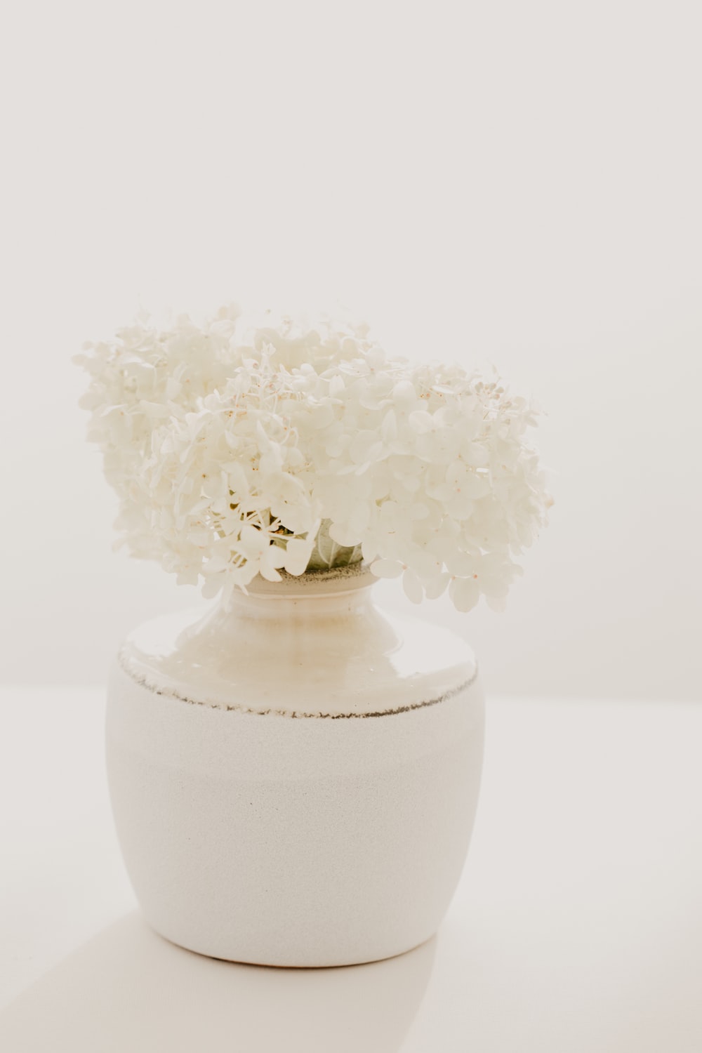 白色花瓶插花图片
