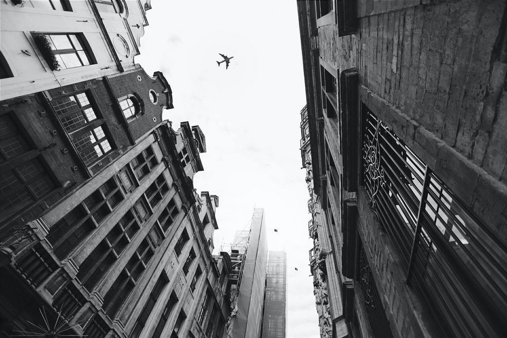 黑白城市上空的飞机图片