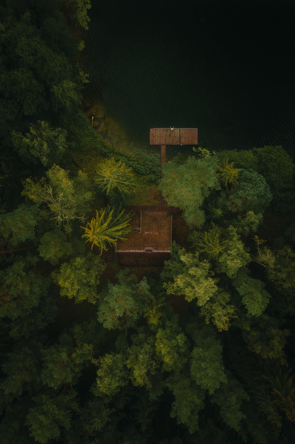 树林中的棕色小木屋图片