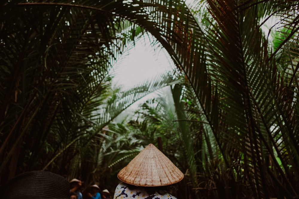 走在热带雨林小径风景人俗图片素材