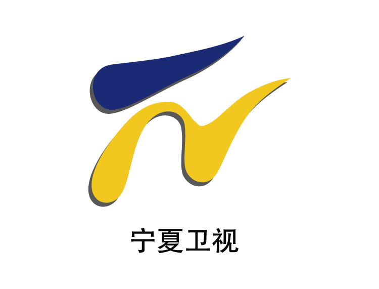 宁夏卫视台标logo矢量图