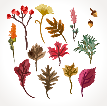 创意彩色彩绘秋季植物设计矢量素材