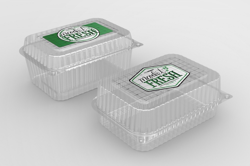 简约风蛋糕食品塑料包装盒设计
