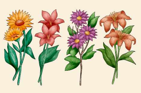 彩色手绘向日葵花卉矢量素材