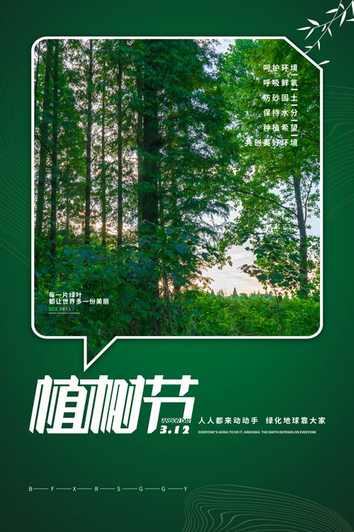 绿色森林创意简约宣传海报