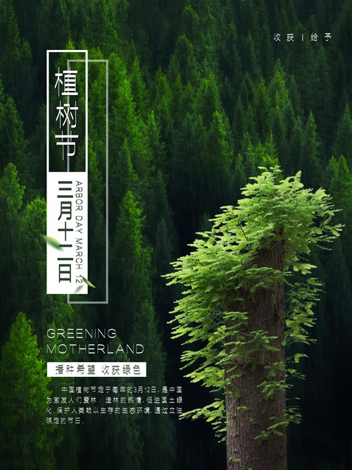 312植树节绿色简约植物造林海报