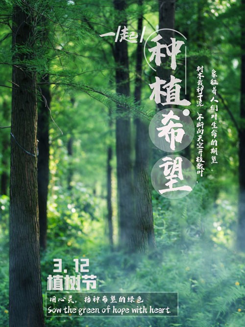 312植树节用心灵播种绿色的希望海报
