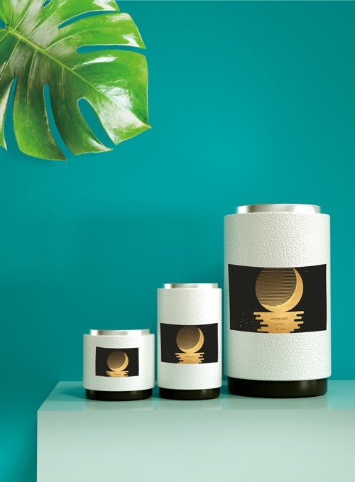 高级皮质茶叶罐黑茶包装设计