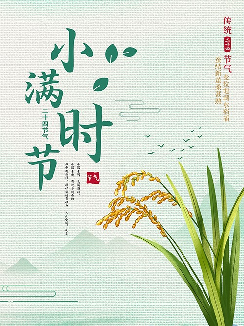 简约中国风传统二十四节气小满海报