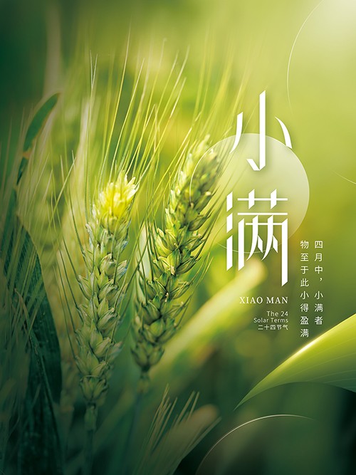 简约绿色中国传统二十四节气小满海报