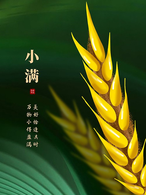 简约手绘麦穗中国传统节日小满节气海报