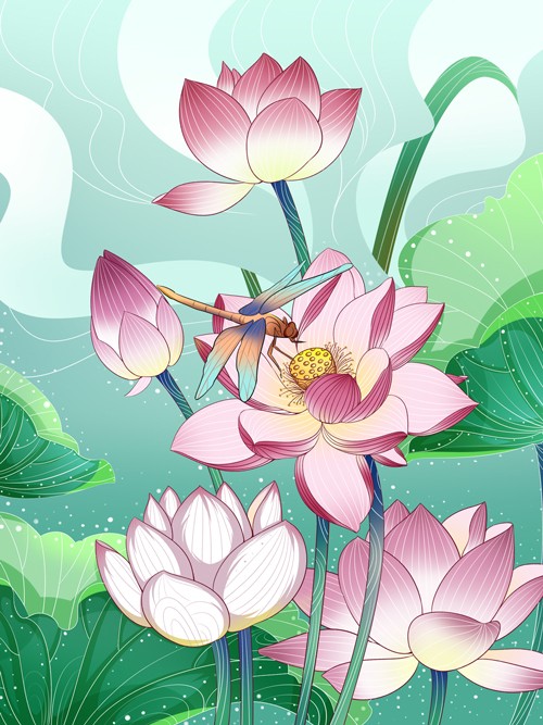 中国风粉色荷花蜻蜓插画