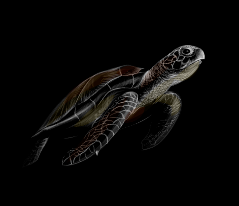 创意黑色手绘乌龟矢量素材