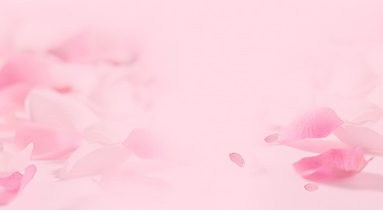 花瓣质感粉色背景免抠素材