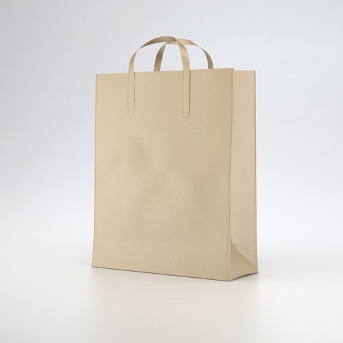 環保紙袋設計樣機圖片