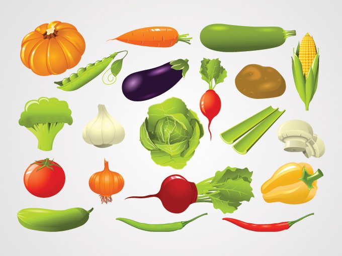 有机健康蔬菜矢量食物素材