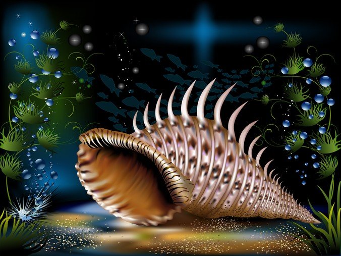 棕色创意海螺潮流矢量图