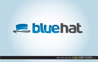 Blue Hat Logo