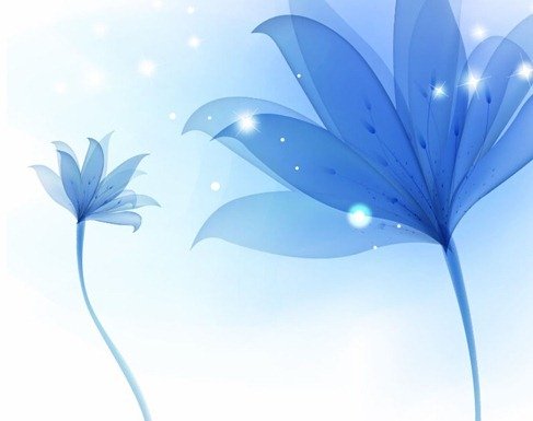 抽象的蓝花的背景
