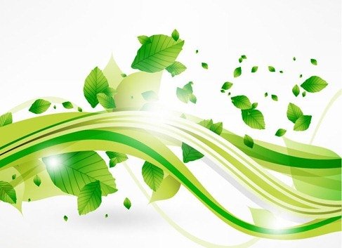 向量Eco叶子和绿色浪潮