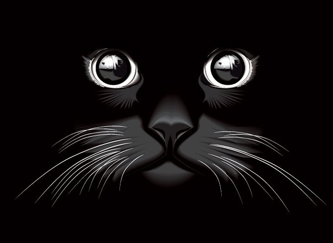 黑猫的眼睛向量背景