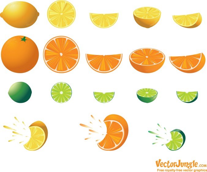 免费的柑橘向量