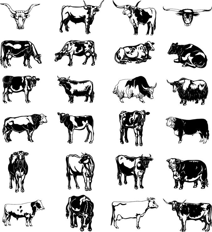 黑白图像系列的画牛向量