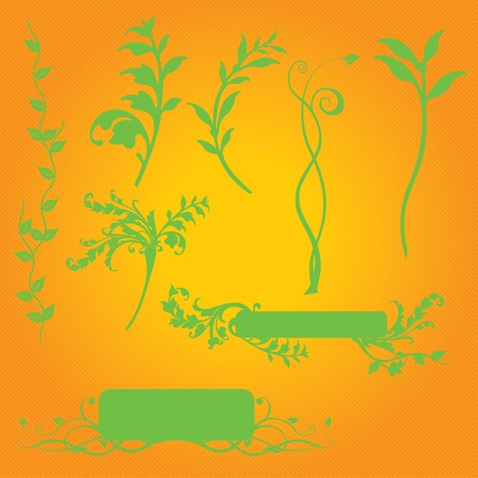 植物图形
