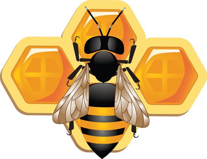 Cute 3D Bee And Honeycomb