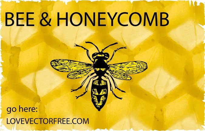 Bee And Honeycomb