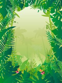 热带丛林背景框架样式