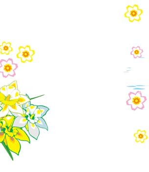 Narcis花8