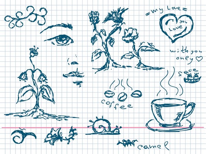 手绘的咖啡植物和其他元素
