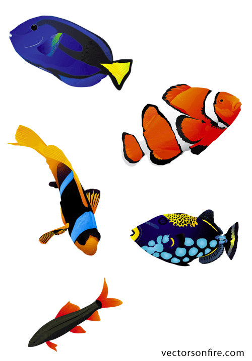 丰富多彩的水族馆鱼类鱼(5)