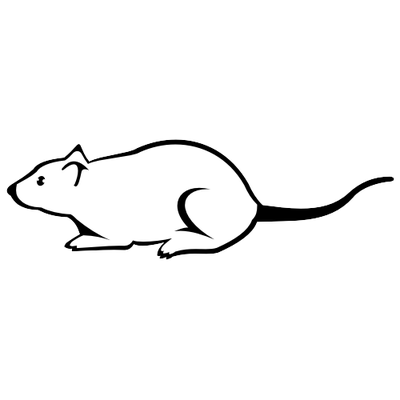 黑白老鼠草图